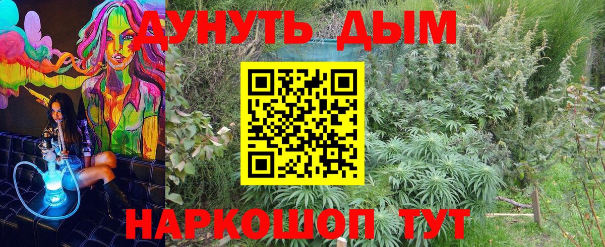 Марихуана Amnesia  МАРИХУАНА индика  Марихуана тримм  Вход с VPN  Вольск  МАРИХУАНА THC 21% 